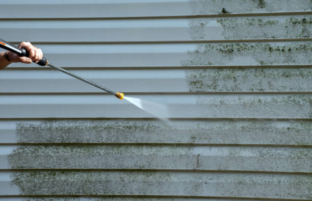 Boat and Dock Cleaning in Cedar Heights, MD